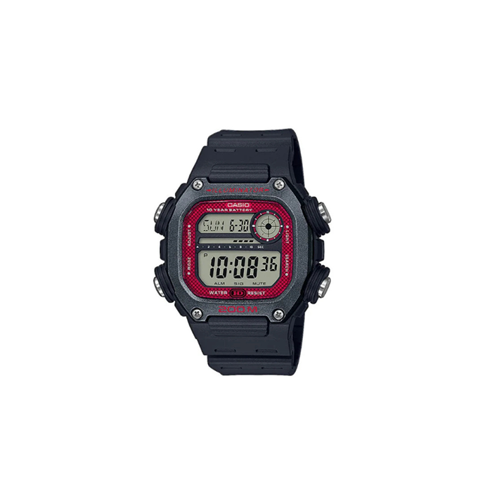 DW-291H-1BVEF