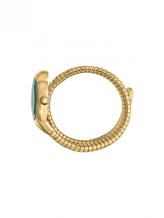 ROBERTO CAVALLI RADICE
