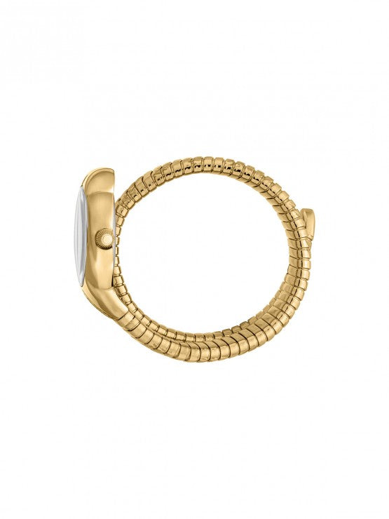 ROBERTO CAVALLI RADICE