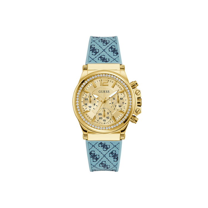 CHARISMA GW0699L1
