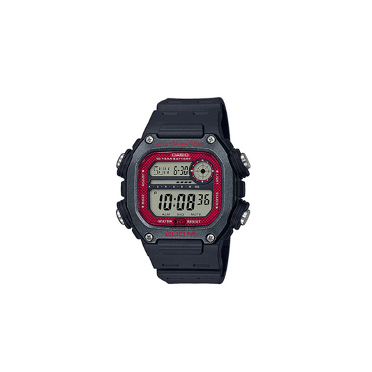 DW-291H-1BVEF