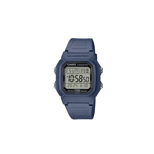 W-800H-2AVES