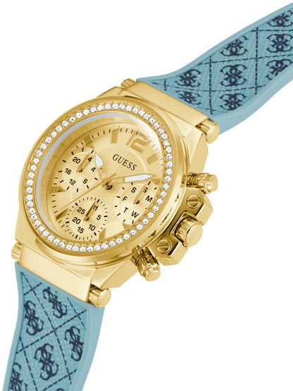 CHARISMA GW0699L1