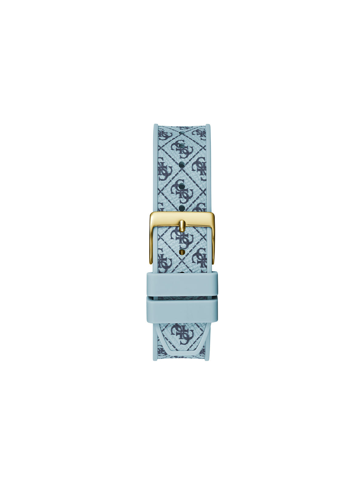 CHARISMA GW0699L1